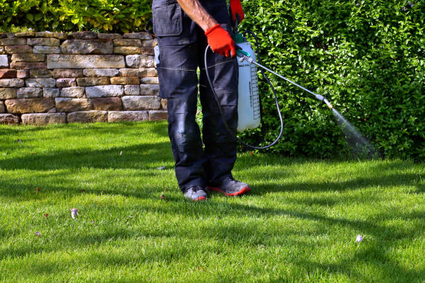 Best Seasonal Pest Control  in USA